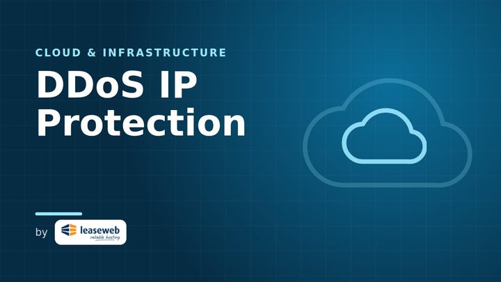 DDoS IP Protection