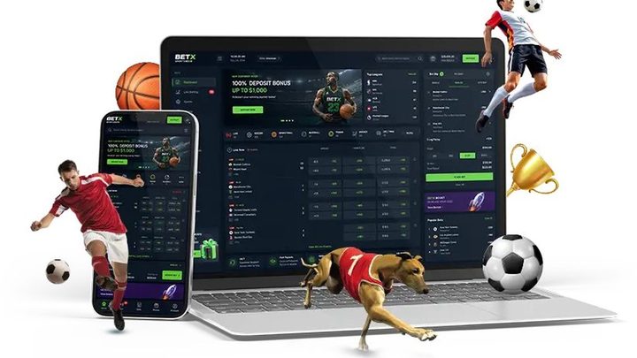 Sportsbook Software