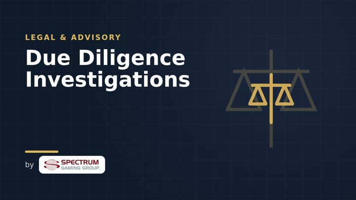 Due Diligence Investigations