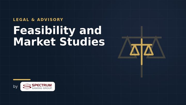 Feasibility and Market Studies